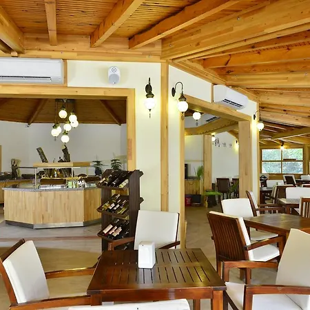 Hotel Odile 4*